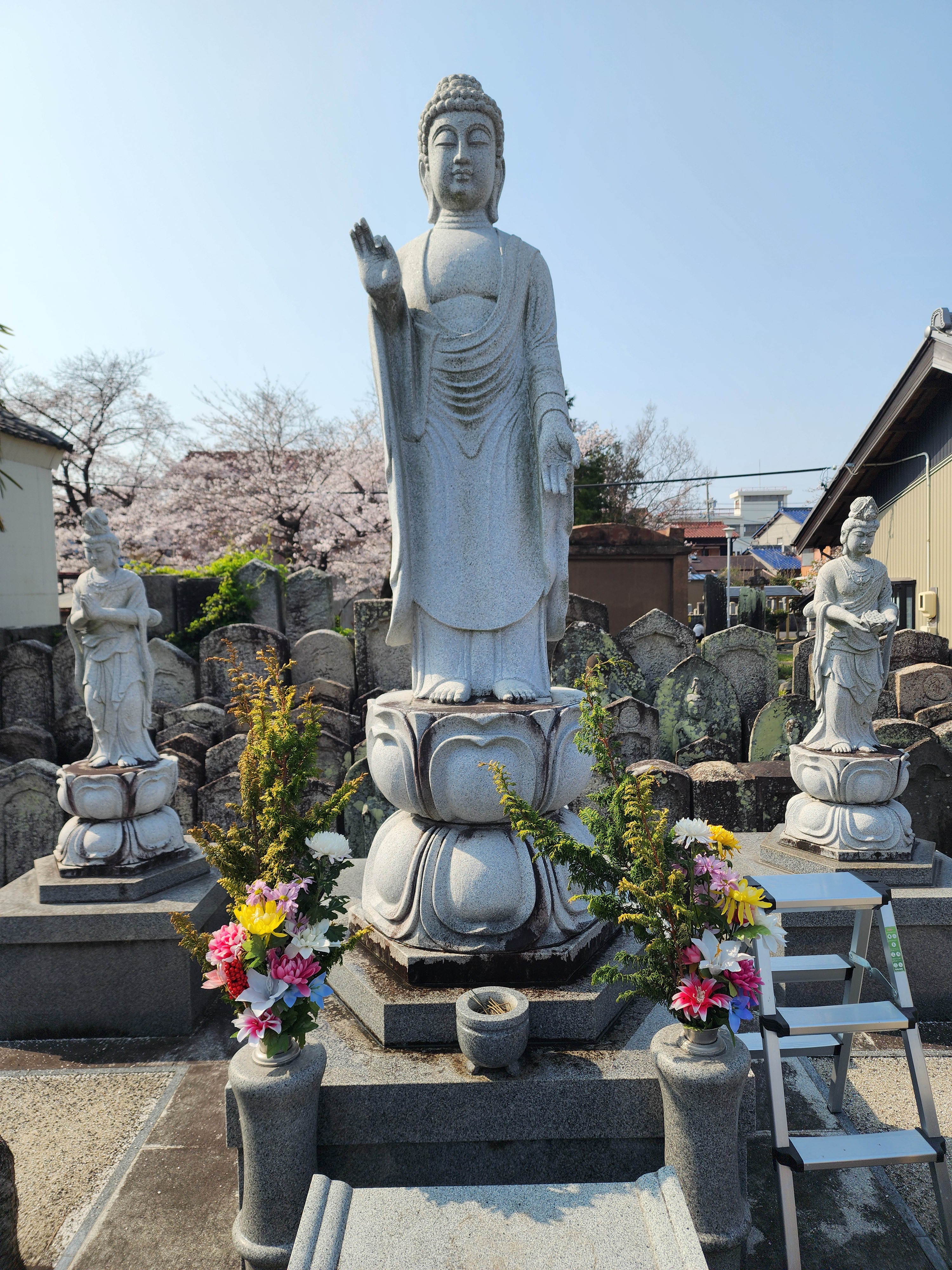 草取り